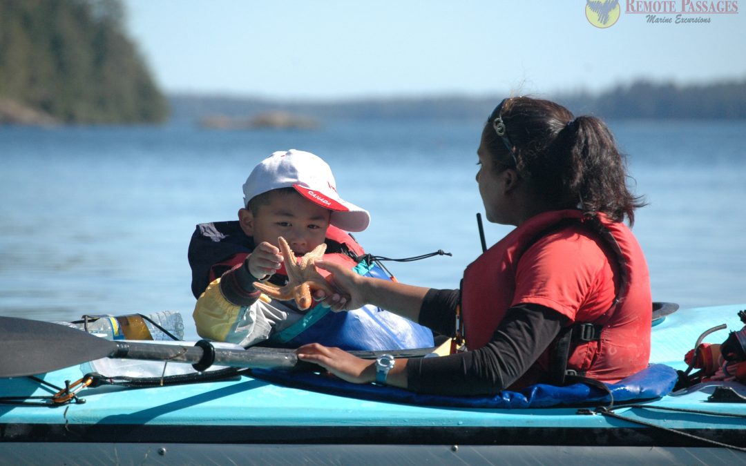 Sea Kayaking Day Trips in Tofino