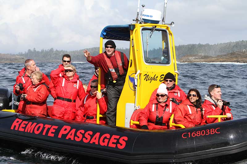 Zodiac whale watching